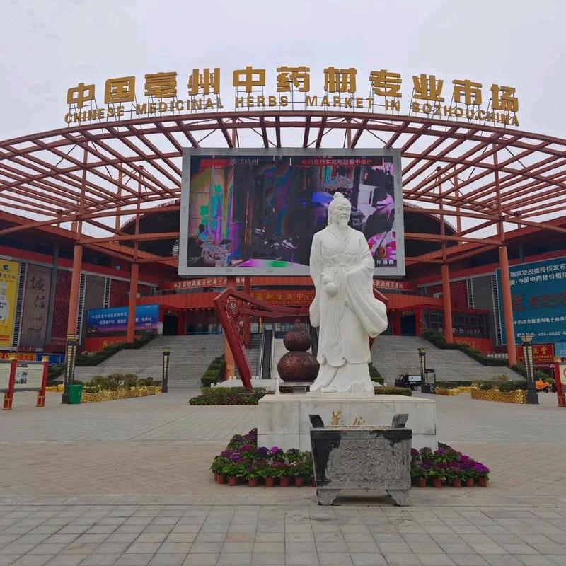 小小岳在药都亳州