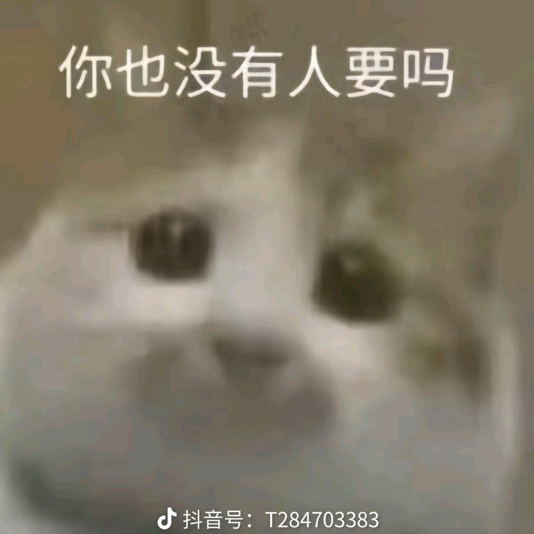 阿宝(菜鸟韩信)