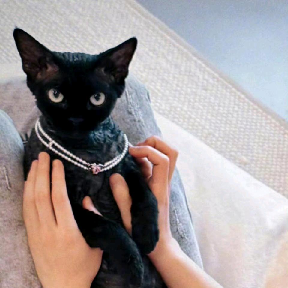 我有病我去治你有病就去死