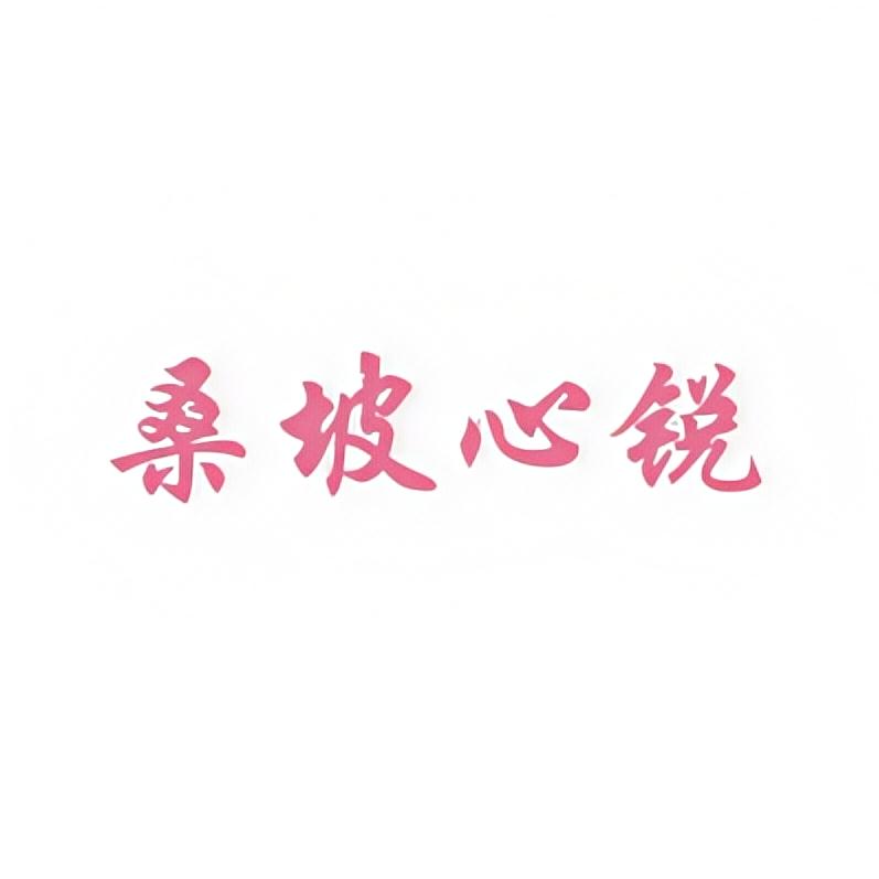 桑坡心锐鞋业
