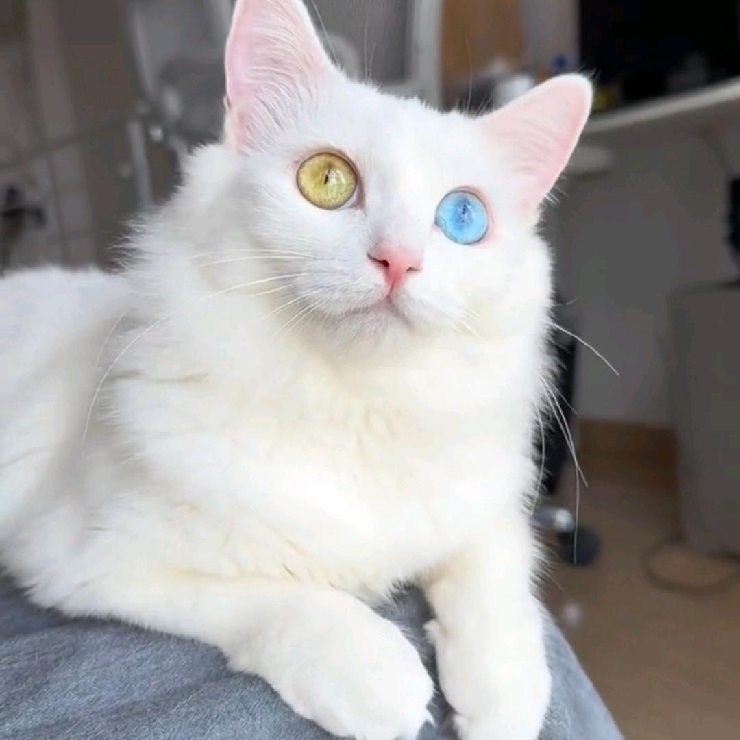 朗妈爱生活