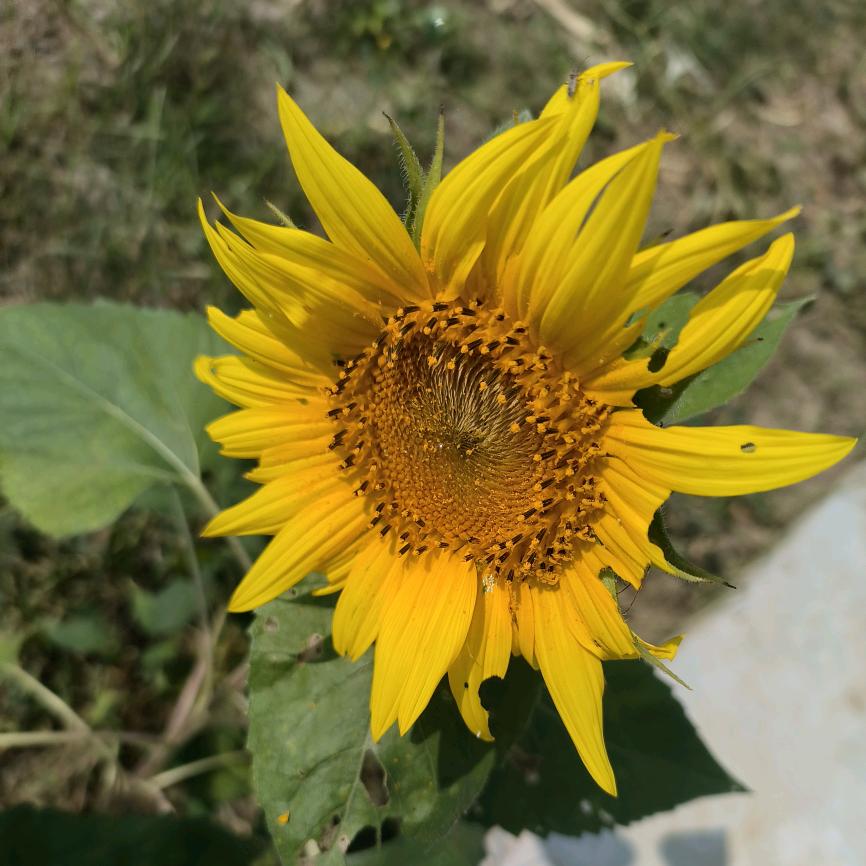 ℳ꧔ꦿ清风暖阳♡꧔ꦿ᭄ℳ