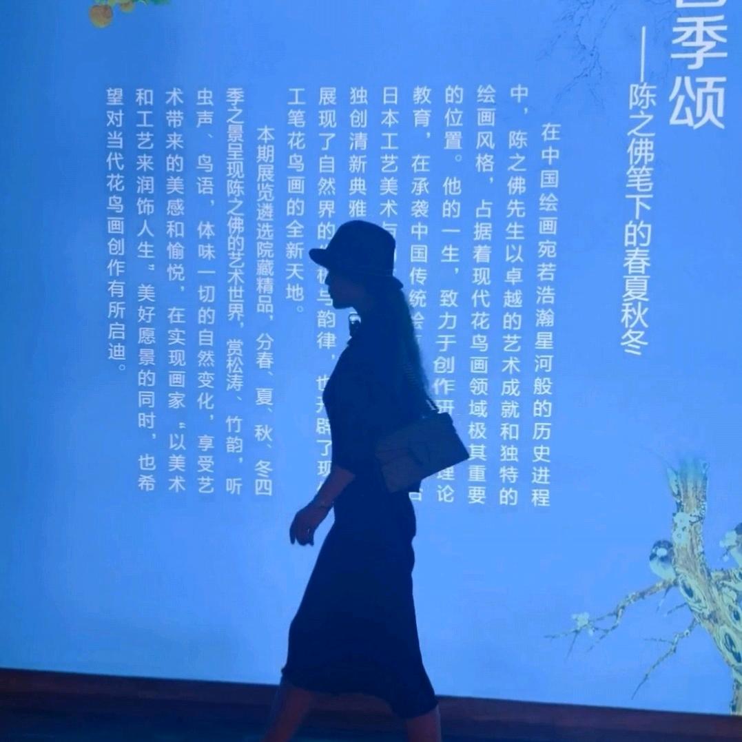 顾不上🌹