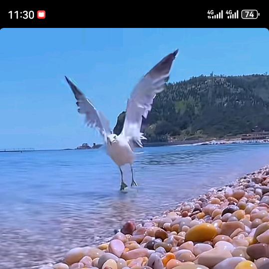 十月的阳光