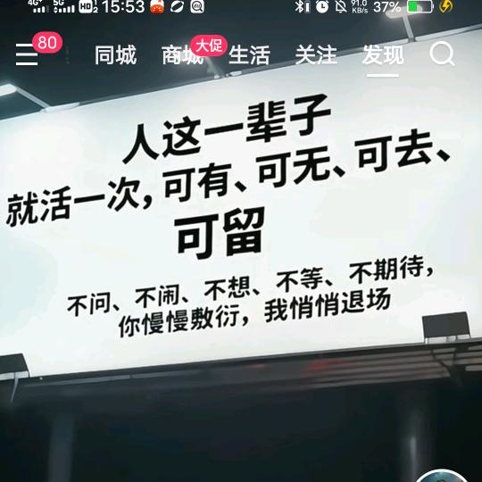招财进宝猫