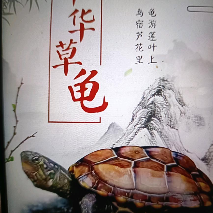 大河精品养殖