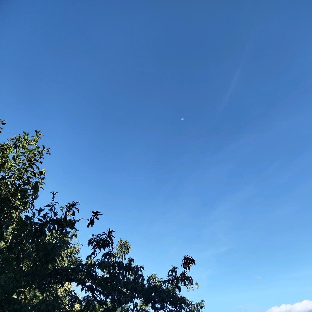 琼浆