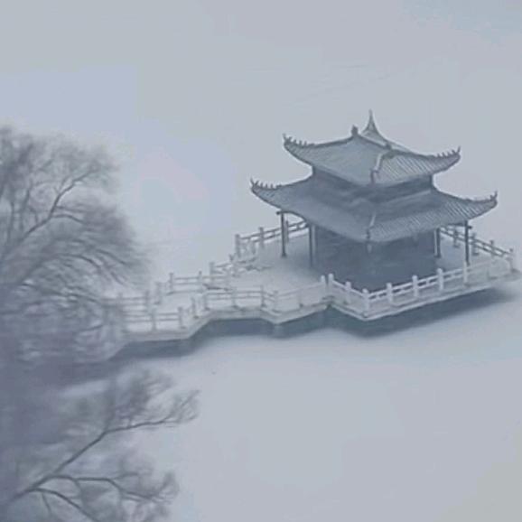 还岁月温柔