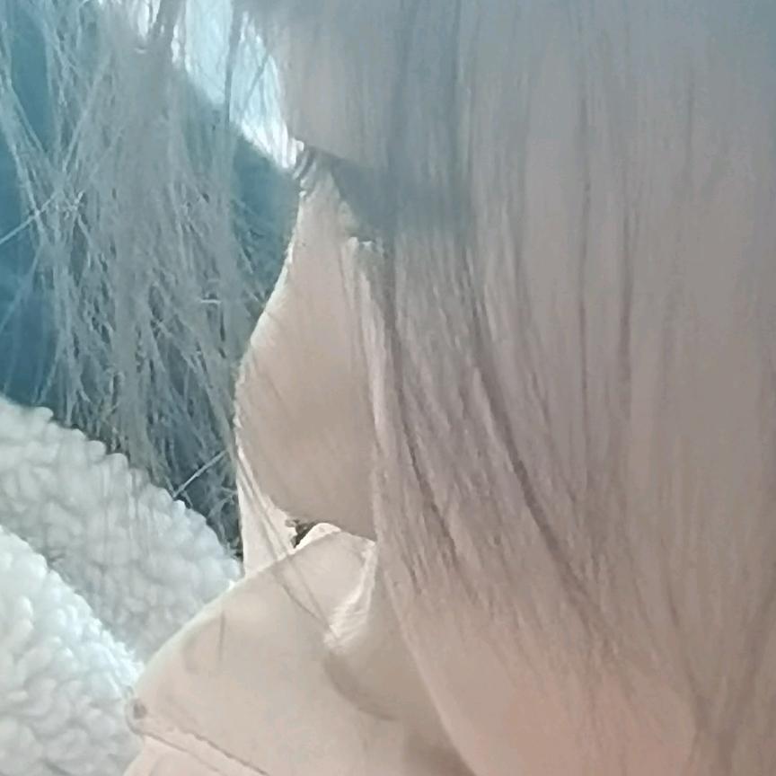毛毛虫