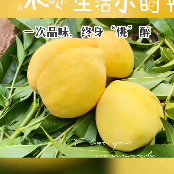 陆良黄桃