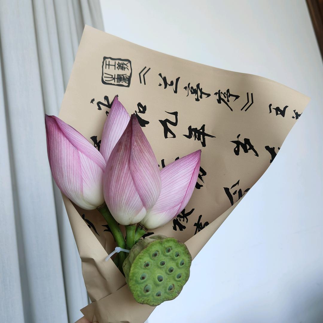 🌿舍