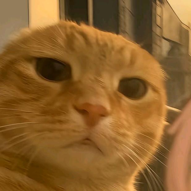 生椰拿铁多加折耳根謝謝