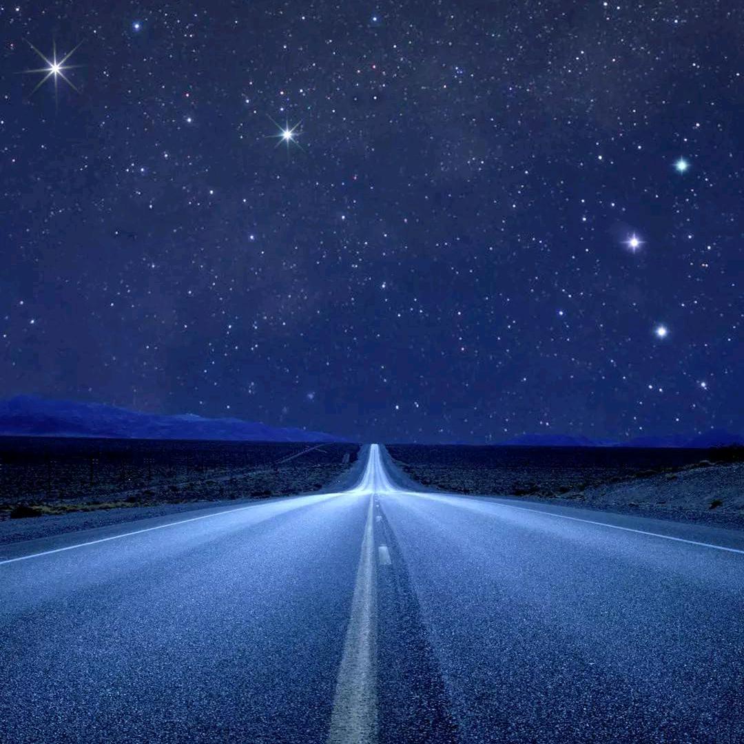 想着咸鱼的猫¹²ˣ²⁼