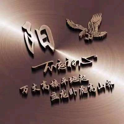 阳帆起航头像