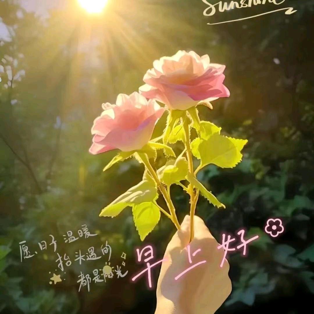 ල᭄云南💞心 瑞࿐情感主播