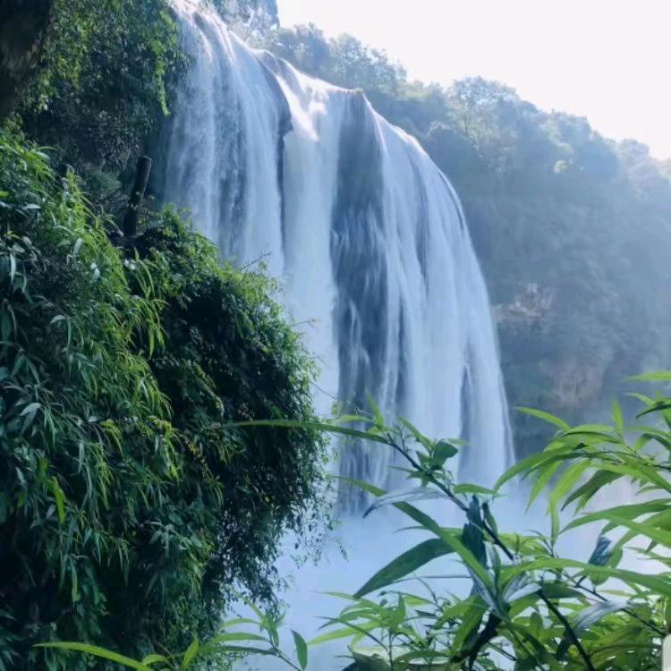 北京 陪诊 跑腿 服务