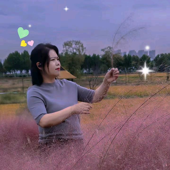 情是堕落的伤