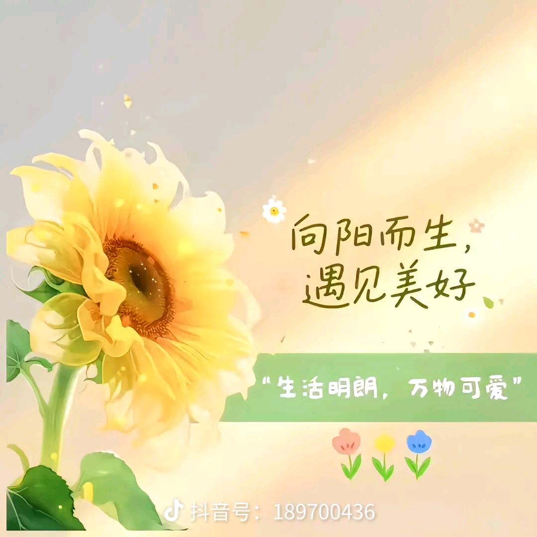 遇见美好的自己