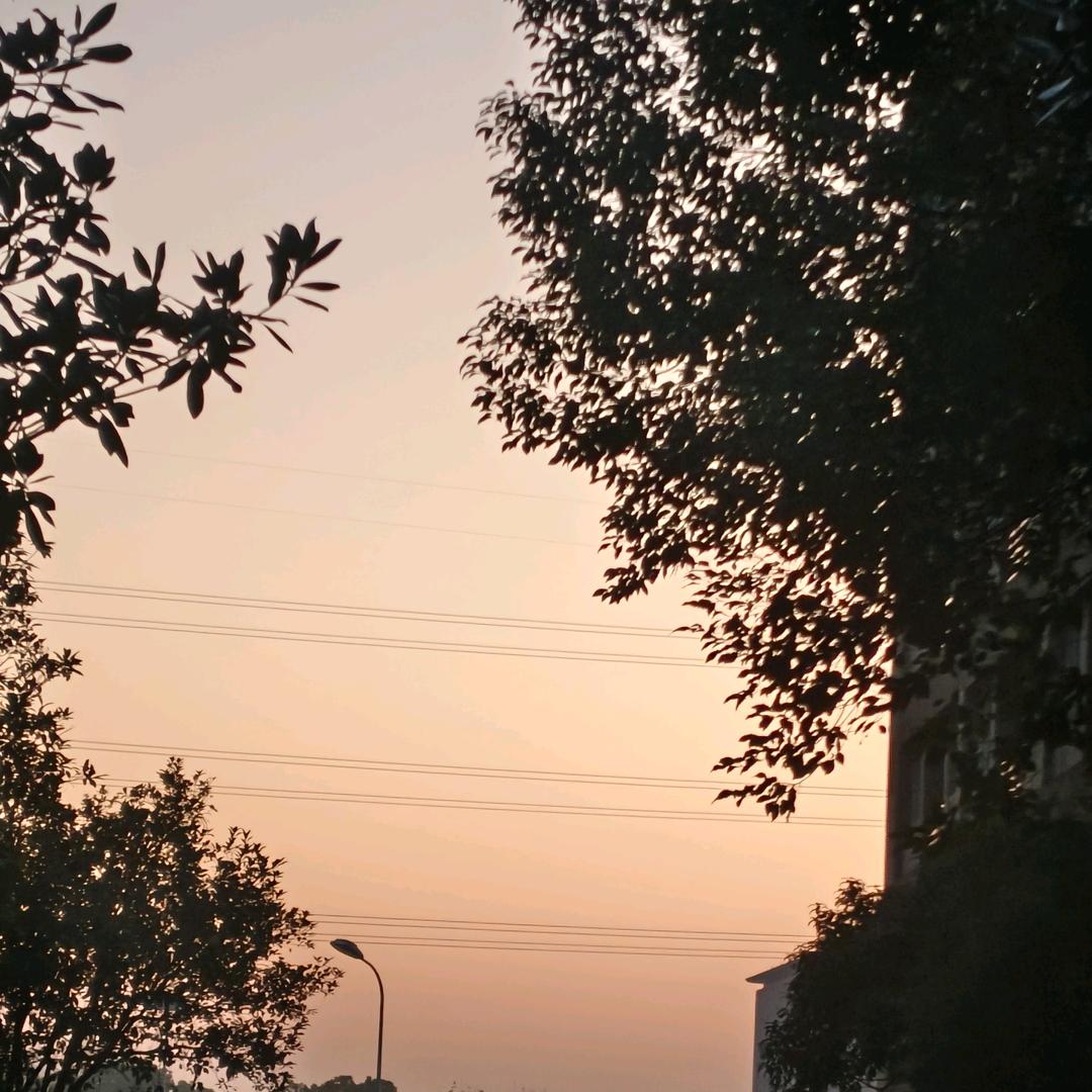 摇曳