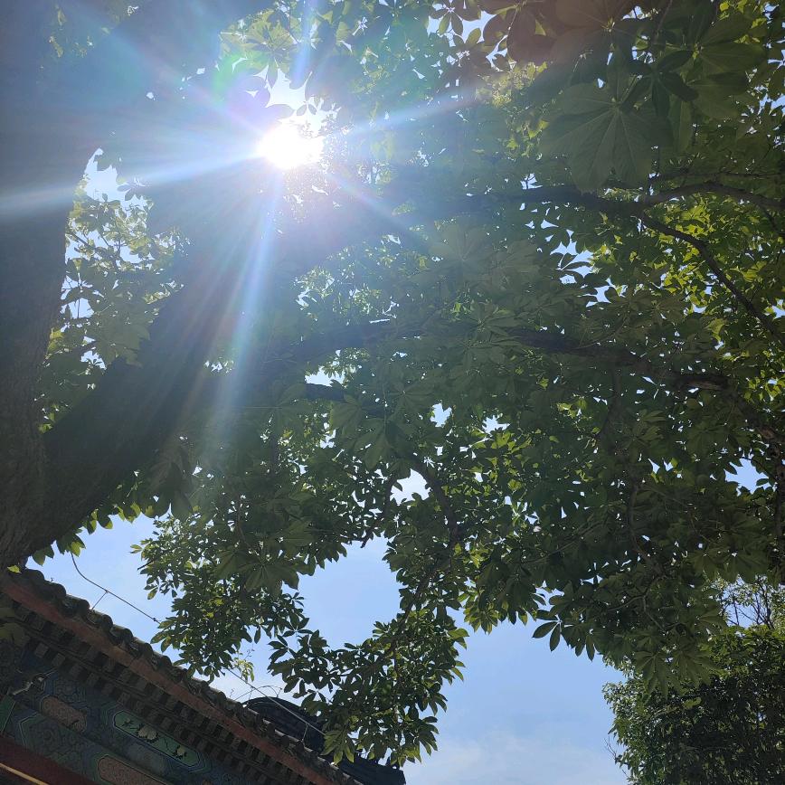 @奶茶馄饨小笼包