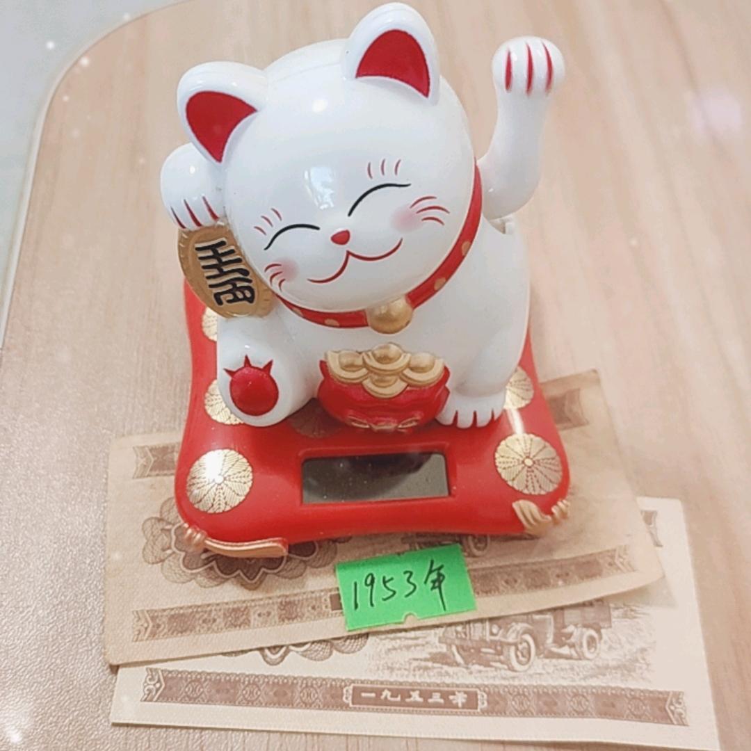 猫咪收藏