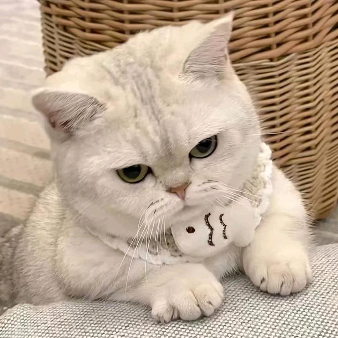 纠结