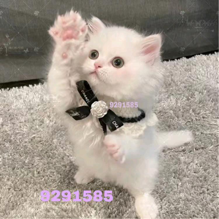 不忘初心