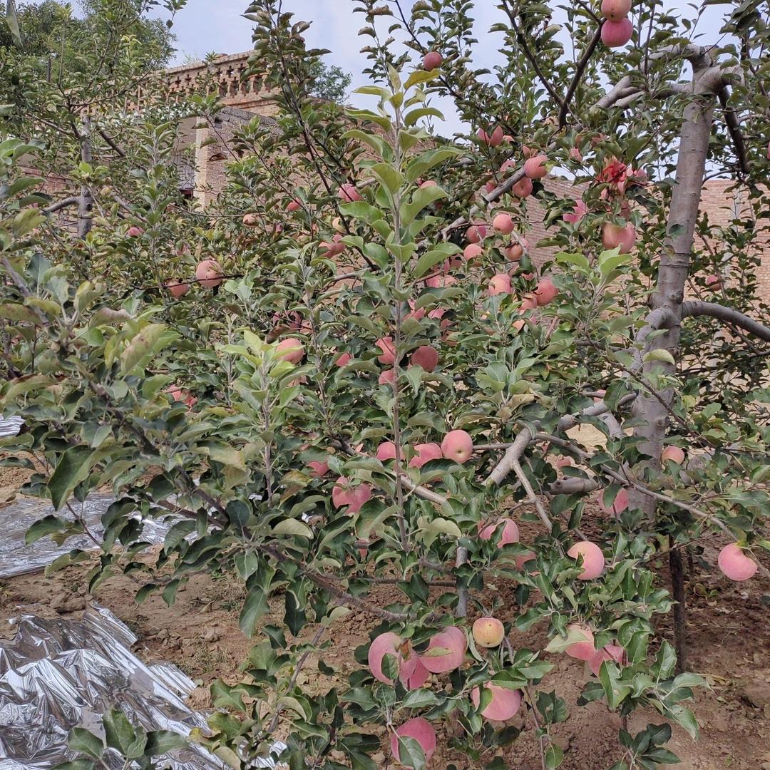 往事清零爰恨随意