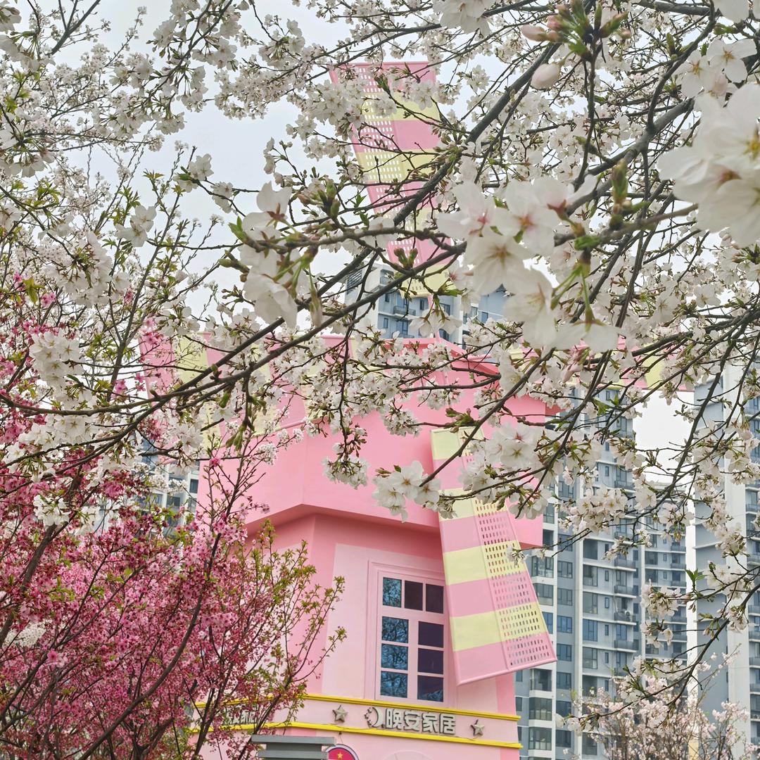 墨殇