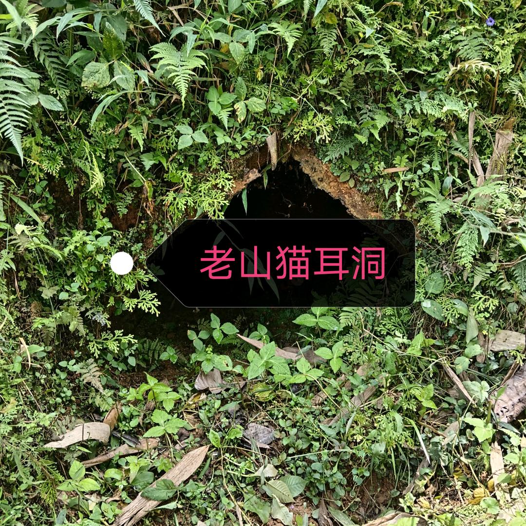 老山通讯兵