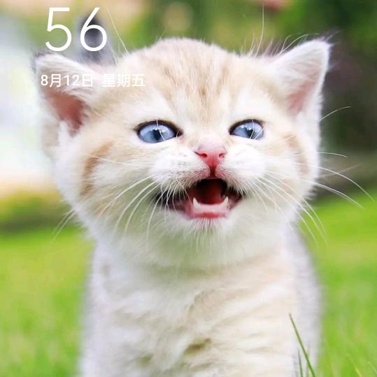 u･ω･u魑魅魍魉