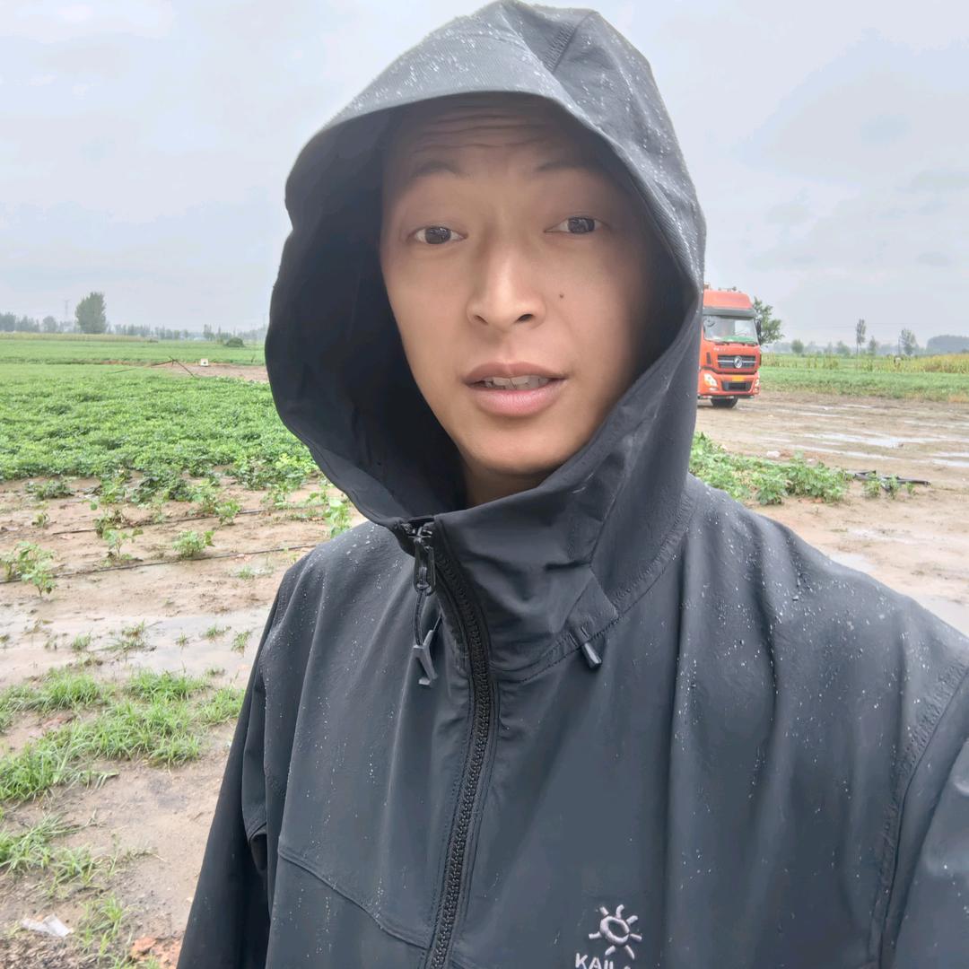 成都濛阳百岛家园果蔬（小号）青蛙