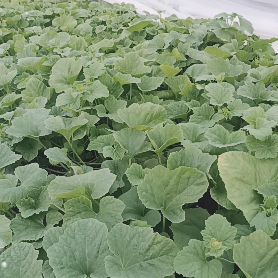 未来可期❤️✌