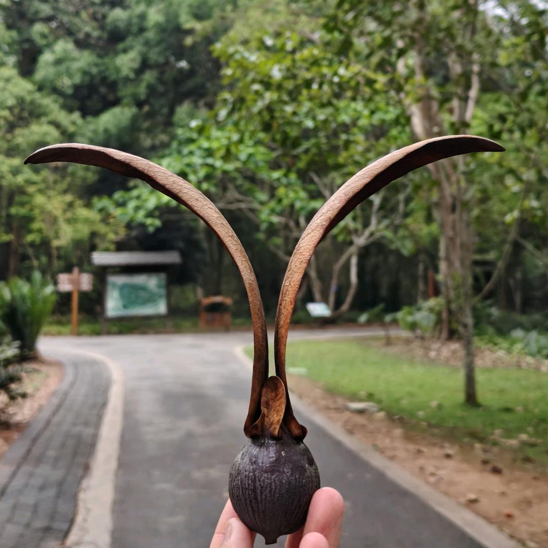 土豆你个potato🥔