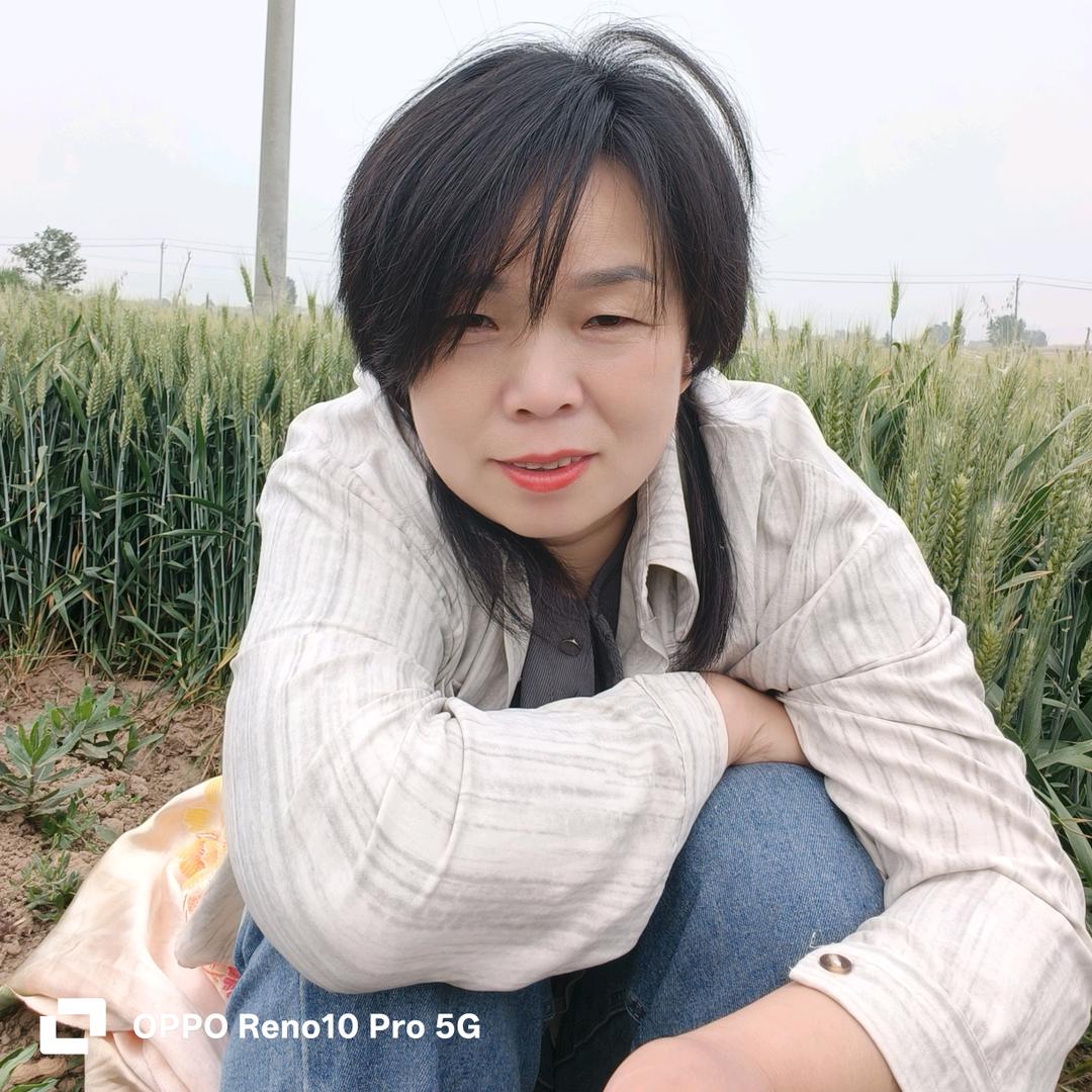 阿鑫(晚7.50分首播)