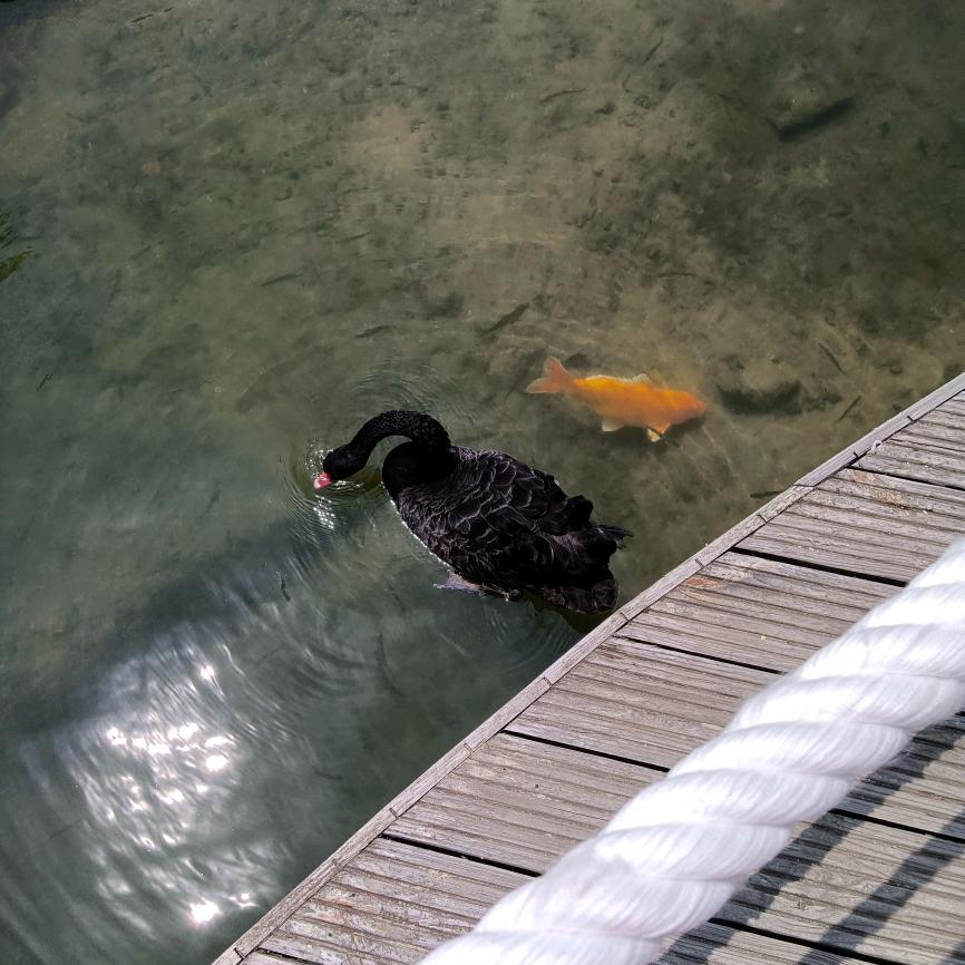 东凤快递轰地球