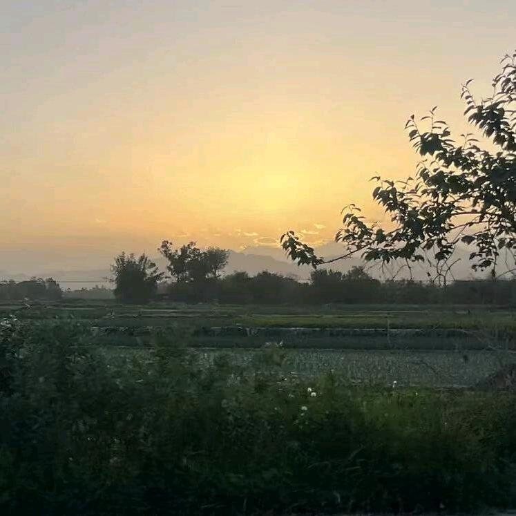 枫桥夜雨