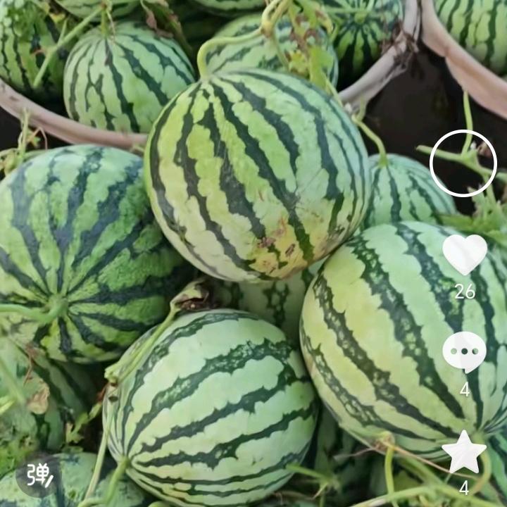 福到财来