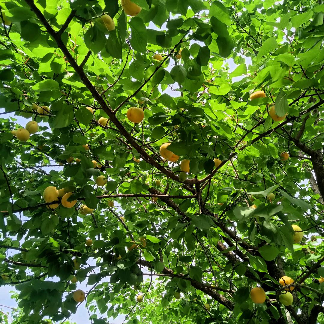 有缘人关注我。