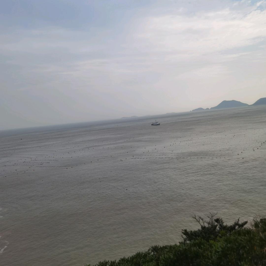 ✨人生如梦❤️❤️