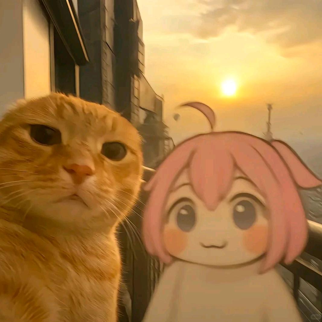 kk…莬