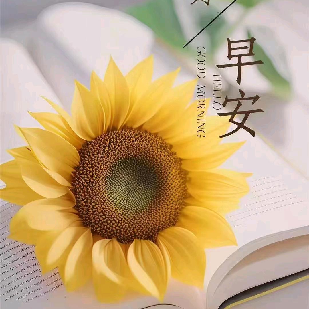 逄:诩共余生