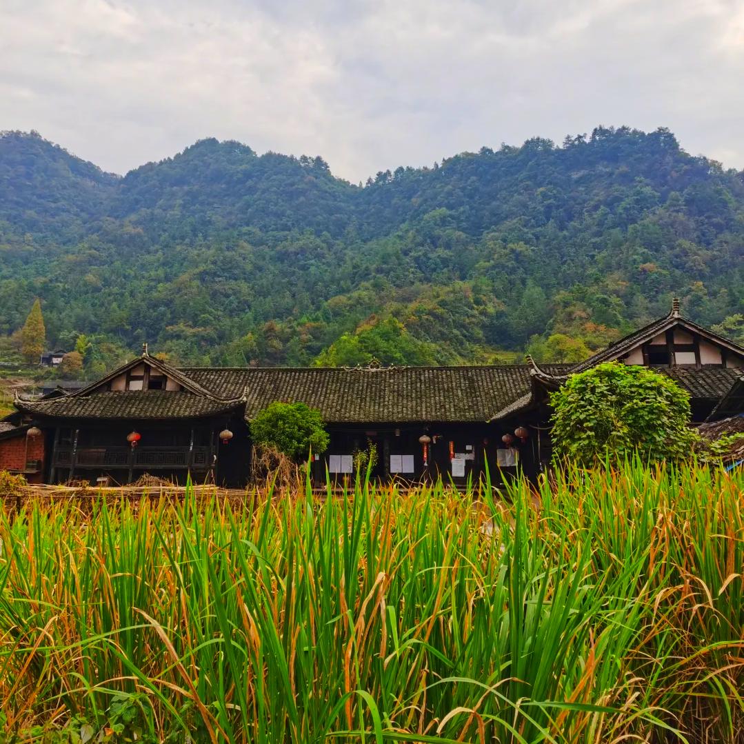二高山腊味