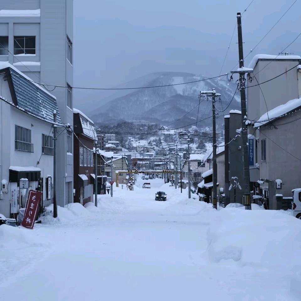 二手车盐焗鸡耳洞当饭吃
