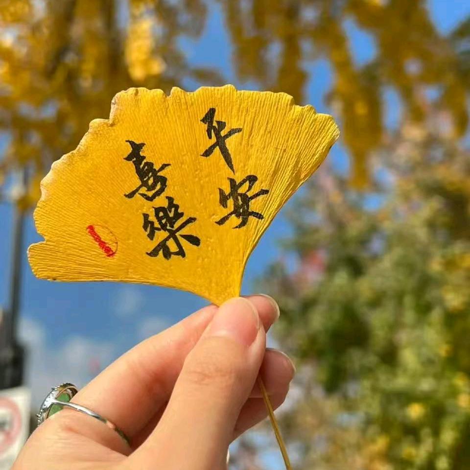 老吴福利号