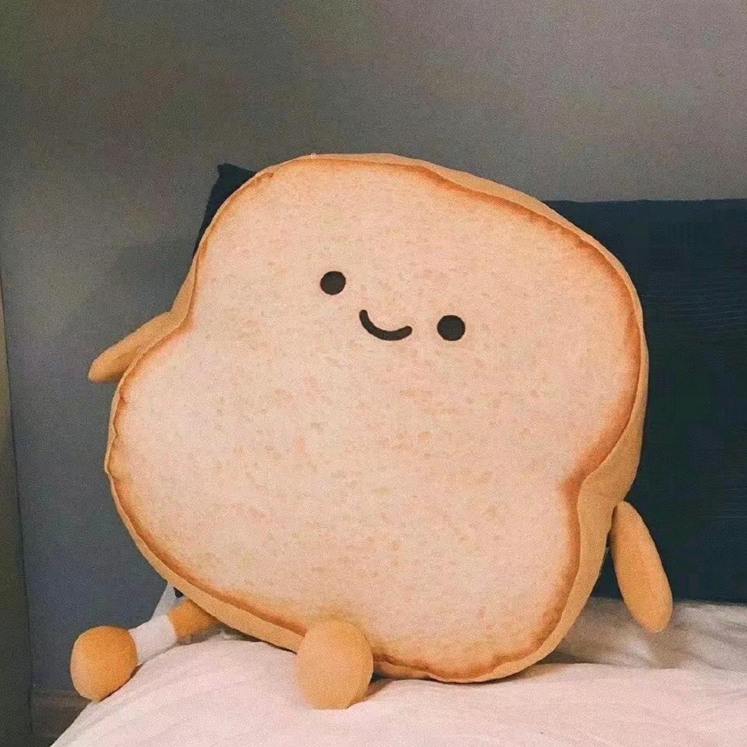 七七的陪伴时光