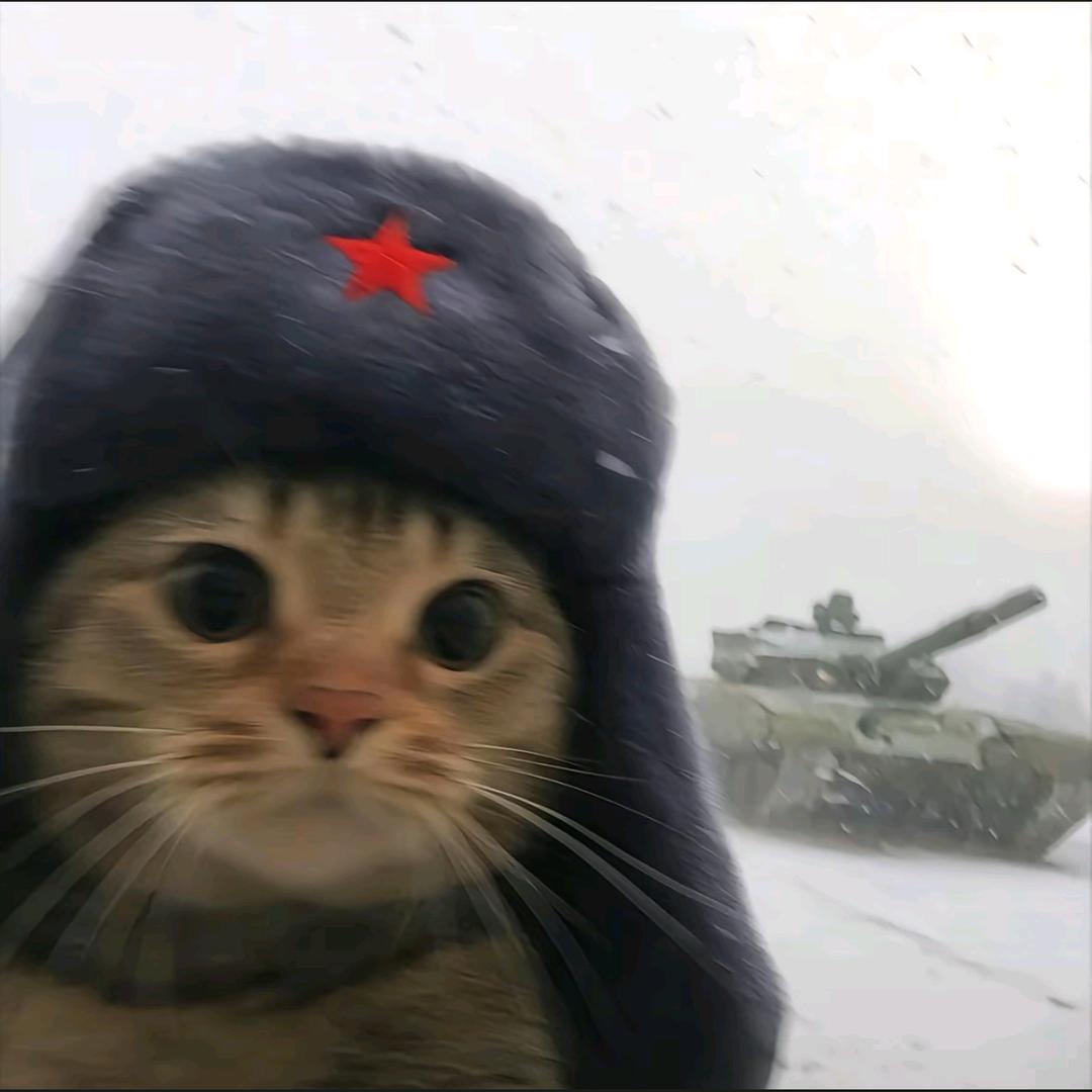 贝塔.