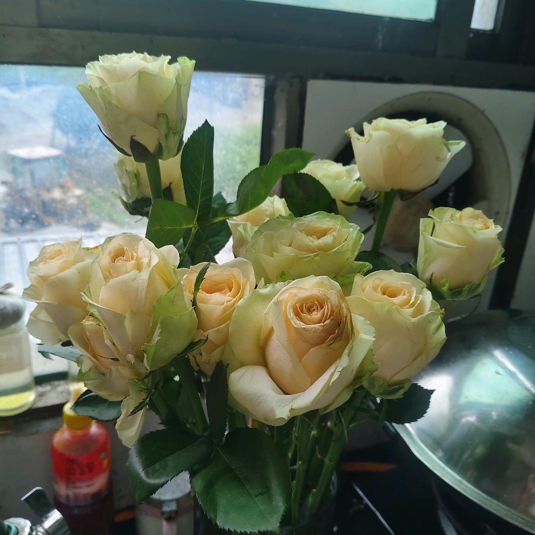 ℒᎭℯ⃝爱亲妈💕⁵²º࿐