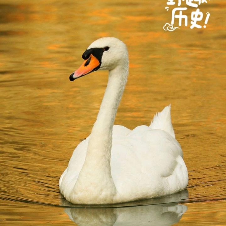 一天到晚又一夜