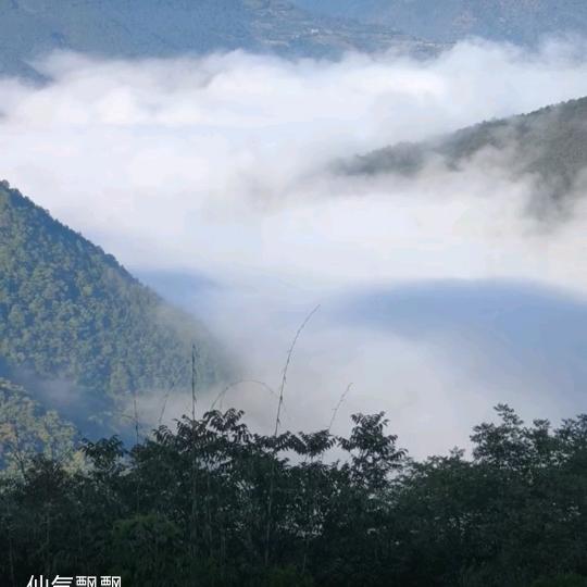 沐冉